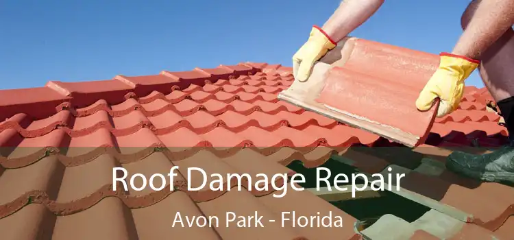 Roof Damage Repair Avon Park - Florida