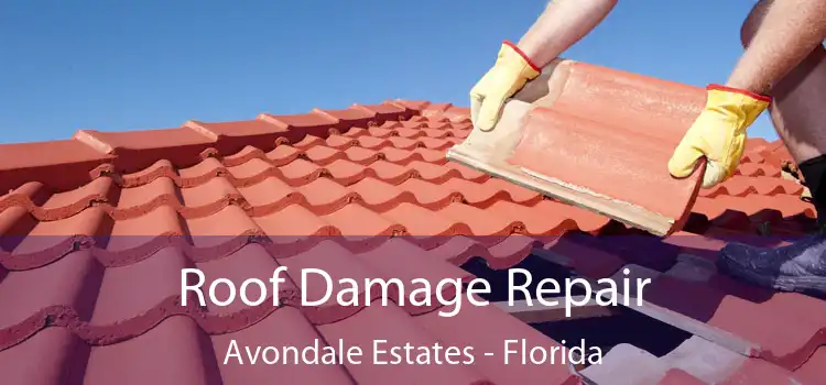 Roof Damage Repair Avondale Estates - Florida