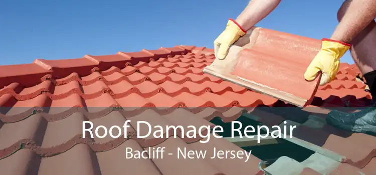 Roof Damage Repair Bacliff - New Jersey