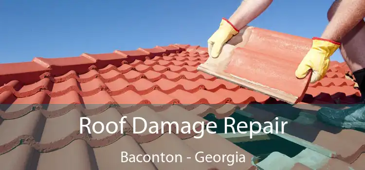 Roof Damage Repair Baconton - Georgia