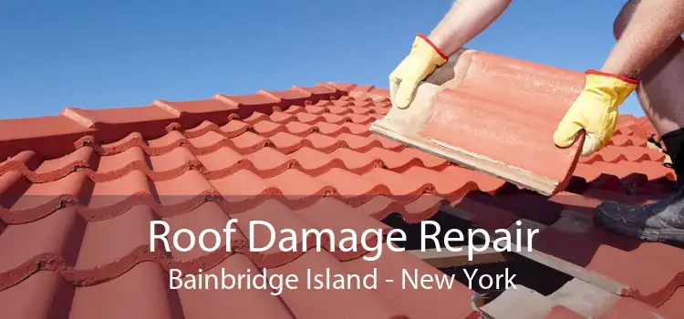 Roof Damage Repair Bainbridge Island - New York