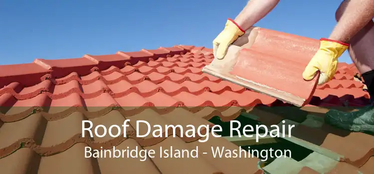 Roof Damage Repair Bainbridge Island - Washington