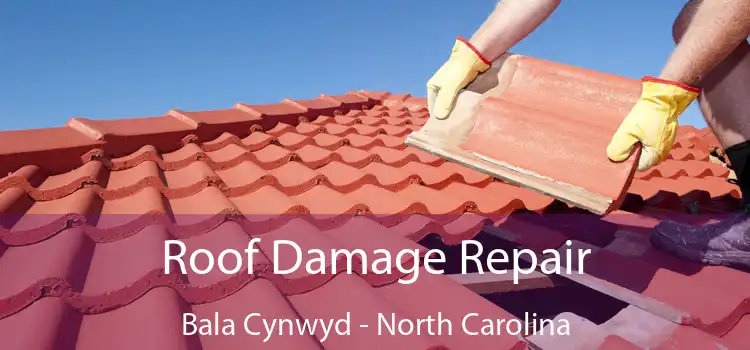 Roof Damage Repair Bala Cynwyd - North Carolina