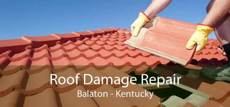 Roof Damage Repair Balaton - Kentucky