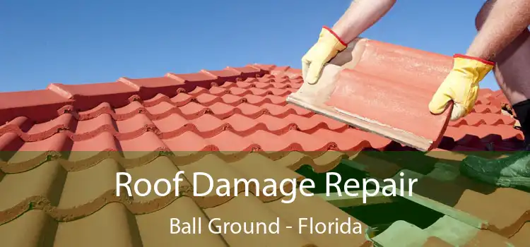 Roof Damage Repair Ball Ground - Florida