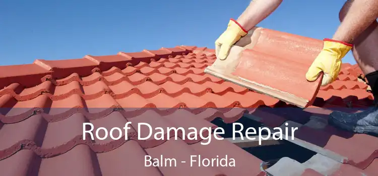 Roof Damage Repair Balm - Florida