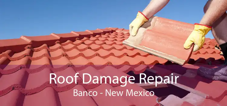 Roof Damage Repair Banco - New Mexico