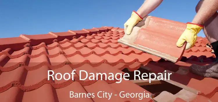 Roof Damage Repair Barnes City - Georgia