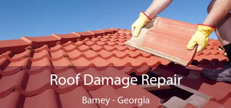 Roof Damage Repair Barney - Georgia