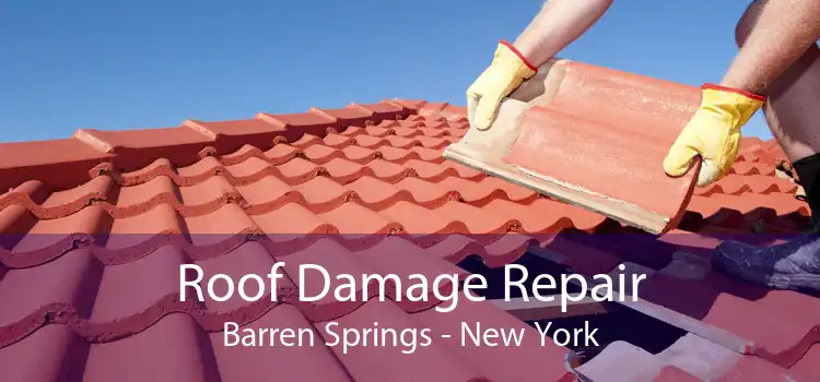 Roof Damage Repair Barren Springs - New York