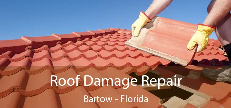 Roof Damage Repair Bartow - Florida