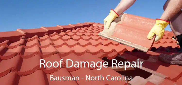 Roof Damage Repair Bausman - North Carolina