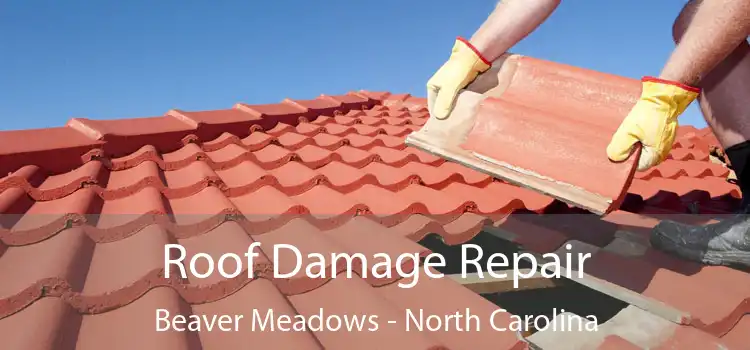 Roof Damage Repair Beaver Meadows - North Carolina