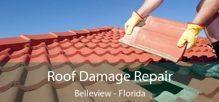 Roof Damage Repair Belleview - Florida