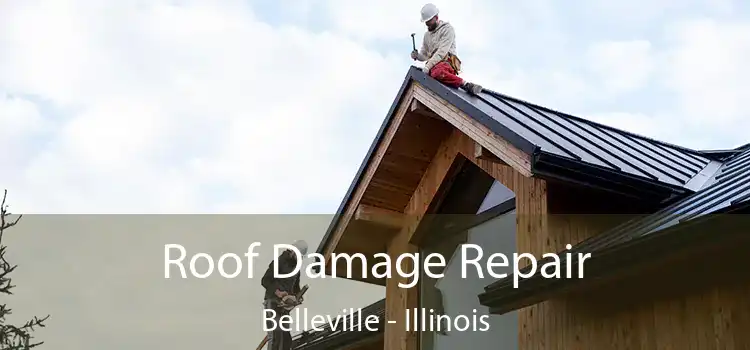 Roof Damage Repair Belleville - Illinois