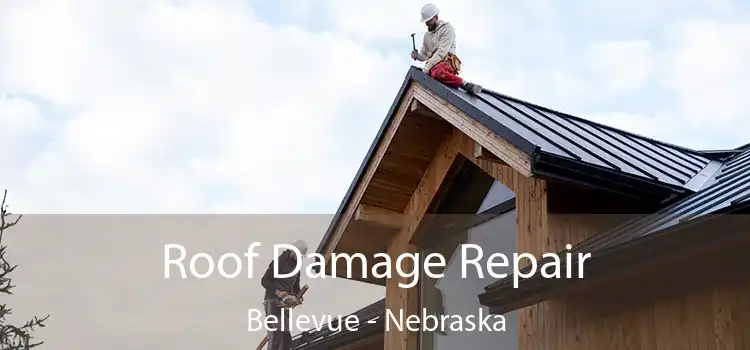 Roof Damage Repair Bellevue - Nebraska