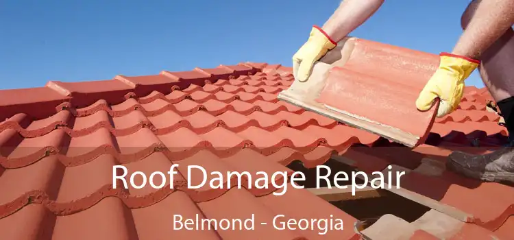 Roof Damage Repair Belmond - Georgia