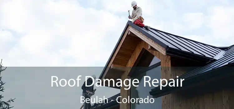 Roof Damage Repair Beulah - Colorado