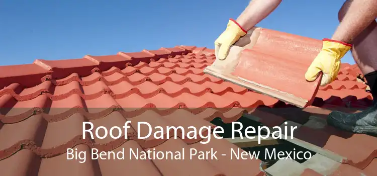 Roof Damage Repair Big Bend National Park - New Mexico