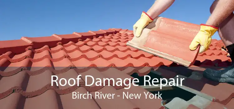 Roof Damage Repair Birch River - New York
