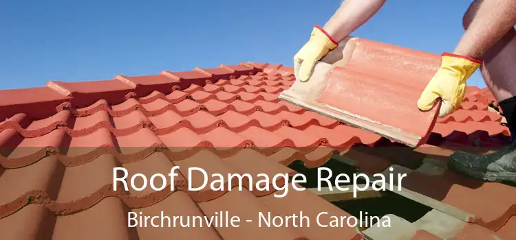 Roof Damage Repair Birchrunville - North Carolina