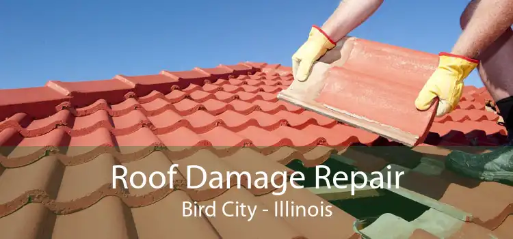Roof Damage Repair Bird City - Illinois