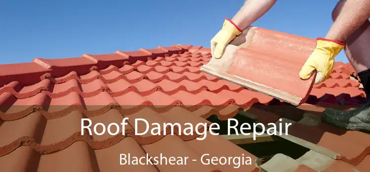 Roof Damage Repair Blackshear - Georgia