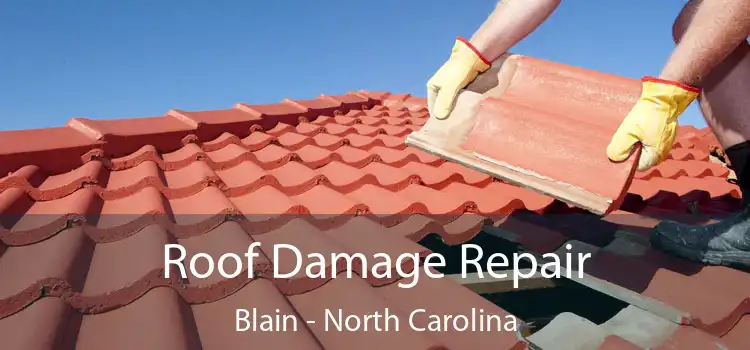 Roof Damage Repair Blain - North Carolina