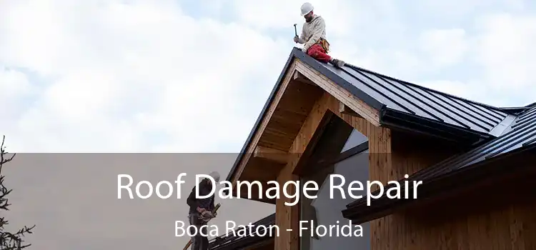 Roof Damage Repair Boca Raton - Florida