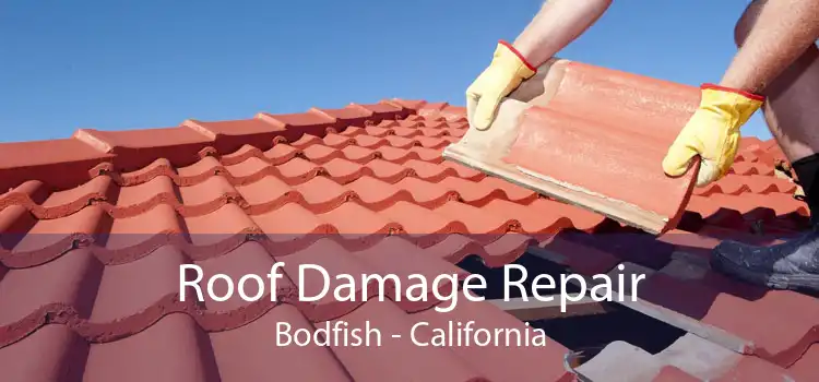Roof Damage Repair Bodfish - California