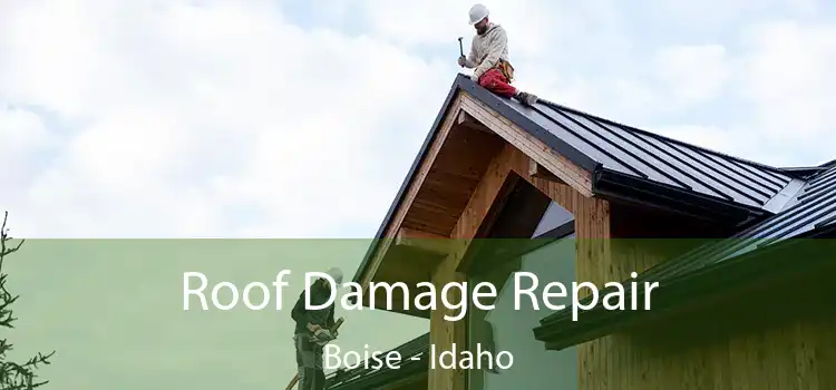 Roof Damage Repair Boise - Idaho