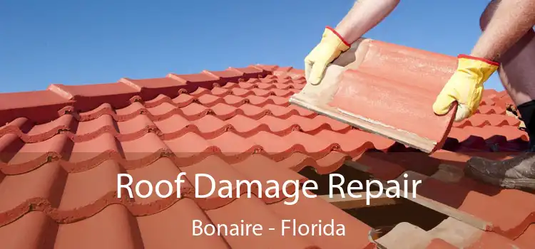 Roof Damage Repair Bonaire - Florida