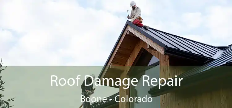 Roof Damage Repair Boone - Colorado