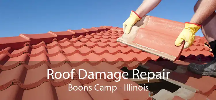 Roof Damage Repair Boons Camp - Illinois