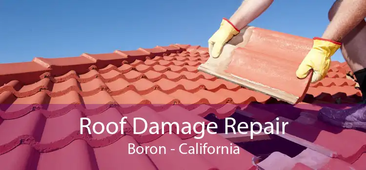 Roof Damage Repair Boron - California