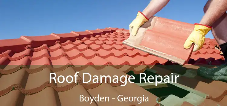 Roof Damage Repair Boyden - Georgia