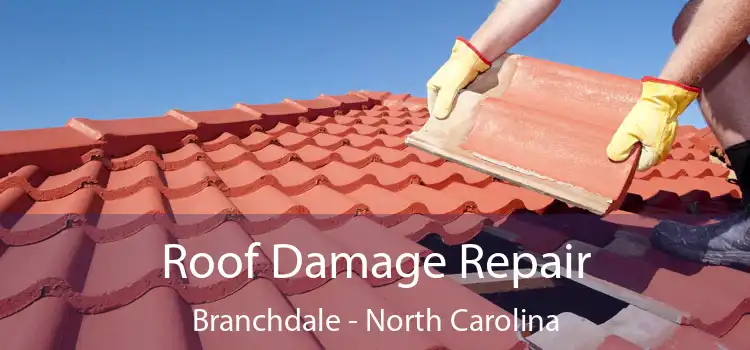 Roof Damage Repair Branchdale - North Carolina