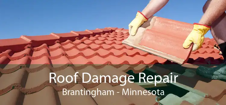 Roof Damage Repair Brantingham - Minnesota