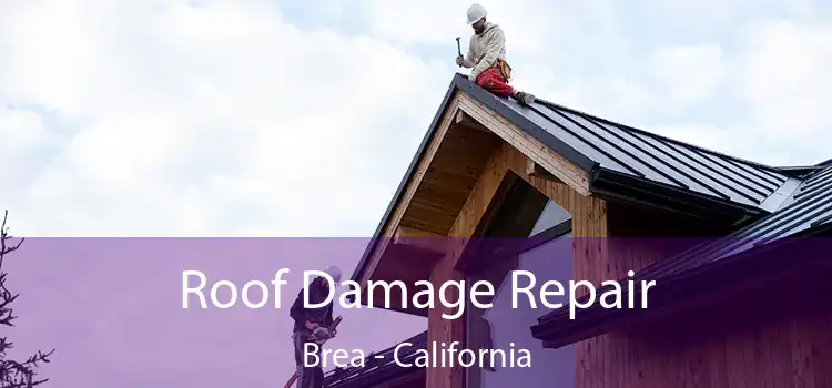 Roof Damage Repair Brea - California