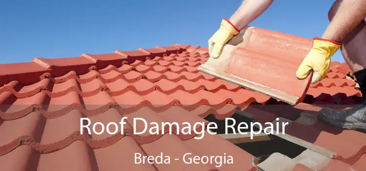 Roof Damage Repair Breda - Georgia