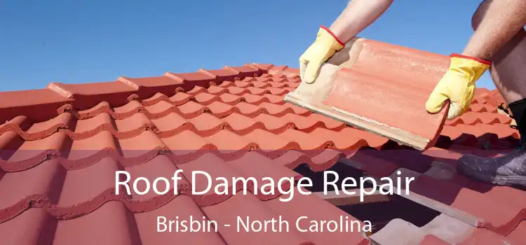 Roof Damage Repair Brisbin - North Carolina