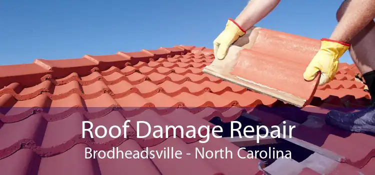 Roof Damage Repair Brodheadsville - North Carolina