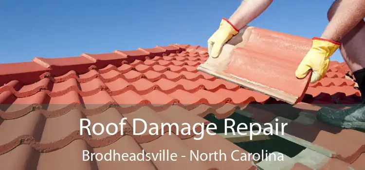 Roof Damage Repair Brodheadsville - North Carolina