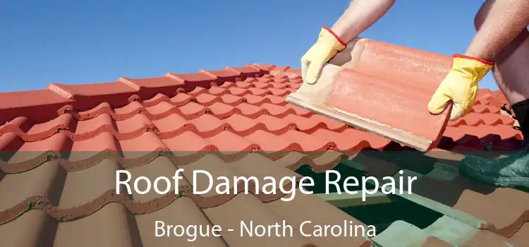 Roof Damage Repair Brogue - North Carolina