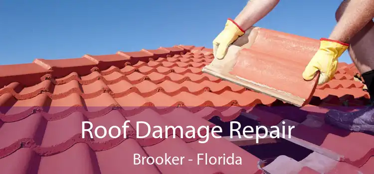 Roof Damage Repair Brooker - Florida