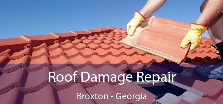 Roof Damage Repair Broxton - Georgia