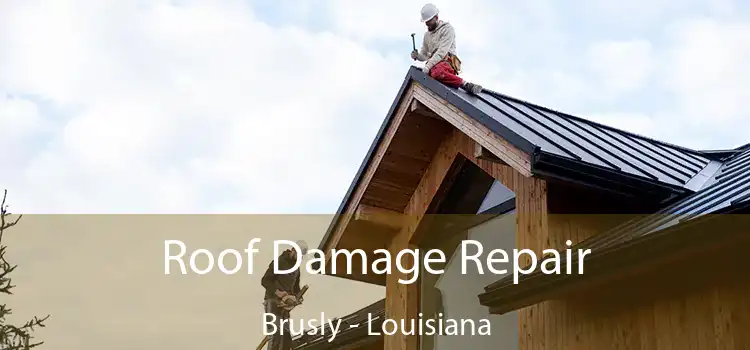 Roof Damage Repair Brusly - Louisiana
