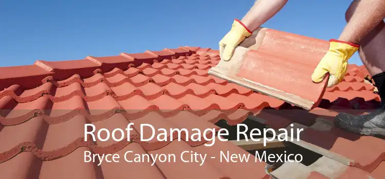 Roof Damage Repair Bryce Canyon City - New Mexico