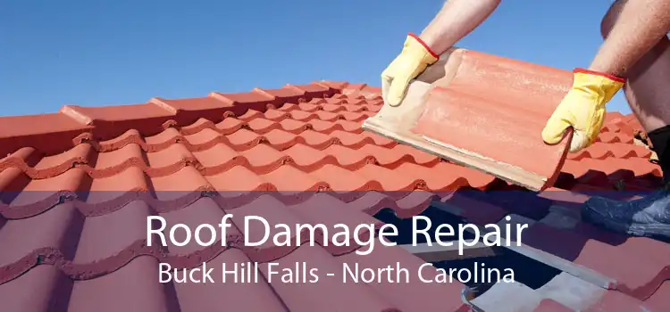 Roof Damage Repair Buck Hill Falls - North Carolina