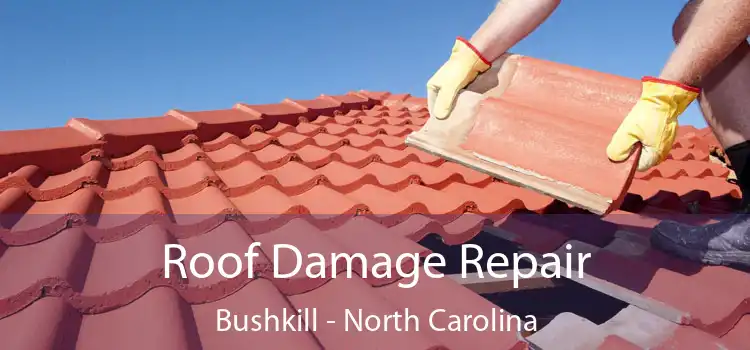 Roof Damage Repair Bushkill - North Carolina